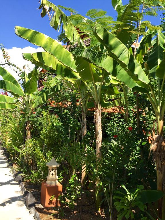 Mahogany Cottage Gili Meno Luaran gambar